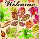 JEN2720  Fall_Colorful_Leaves_2021_4