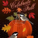 AUT114 CELEBRATE FALL