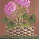 KL2303  Geranium 12