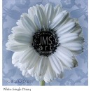 LL2081  White Single Daisy