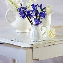 LL2619  MG8483Hyacinths