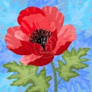 LL2980_blue  FLR209Poppy