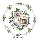 THL2071 passionflowercircle