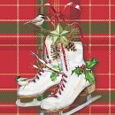 JEN2244_F  Winter Skates Flag