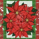 KPD2451  FLOR-POINSETTIAFLG.1