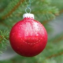 LL3270  IMG_6149_CHRISTMAS_ORNAMENT_1