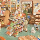 THL2149  village shop